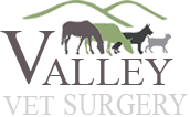 Valley Vet Surgery